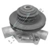 CAR 330051 Water Pump